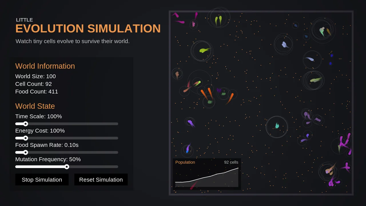 Evolution Simulation